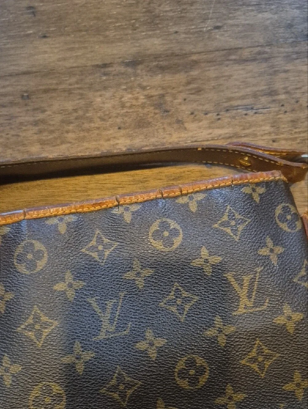 Louis Vuitton Monogram Canvas Hobo Bag in Brown and Tan